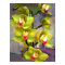 Green Cymbidium Orchids