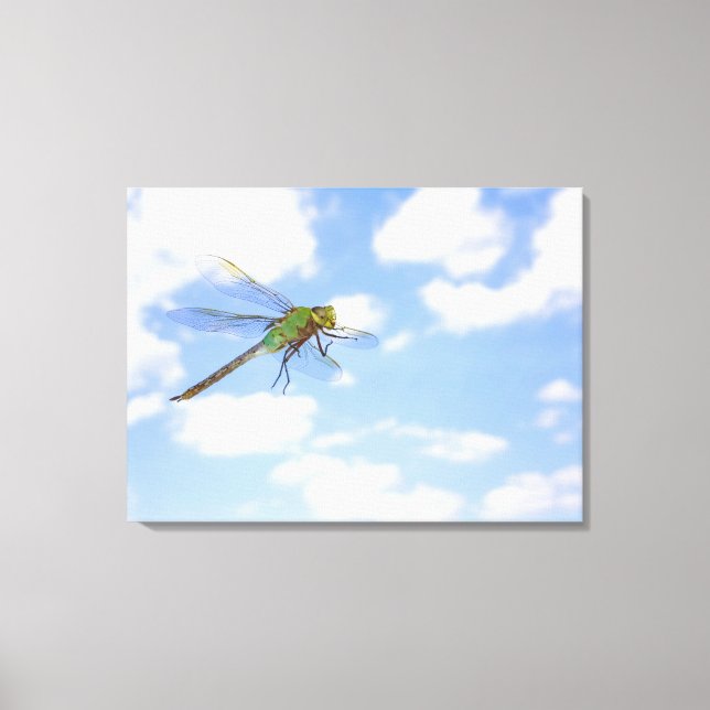 Green darner (Anax junius) flying against Canvas Print (Front)