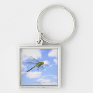 Green darner (Anax junius) flying against Key Ring