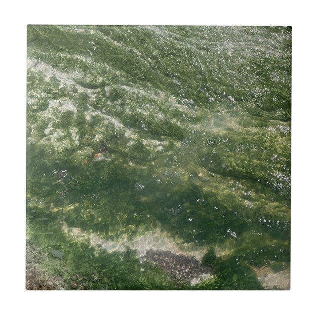 Green Decorative Tile (Front)