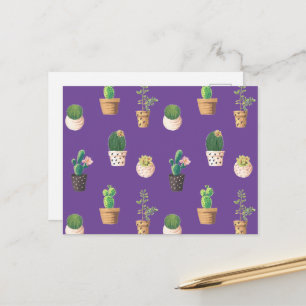 Green Dessert Succulent Cactus in Pots Postcard