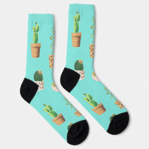 Green Dessert Succulent Cactus in Pots Socks