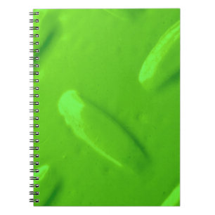 Green Diamondplate Notebook