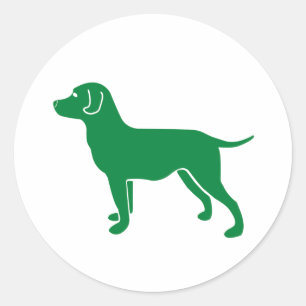 Green Dog Design Classic Round Sticker