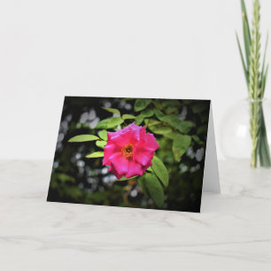 Green Earth, card
