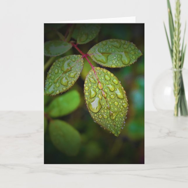 Green Earth, card (Front)