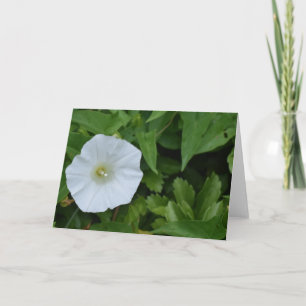 Green Earth Card