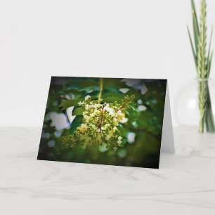 Green Earth, card