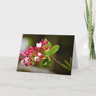 Green Earth, card