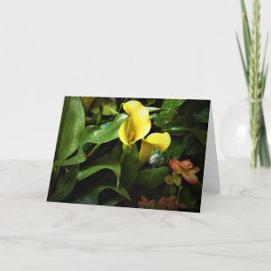 Green Earth, card