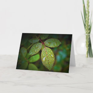 Green Earth, card