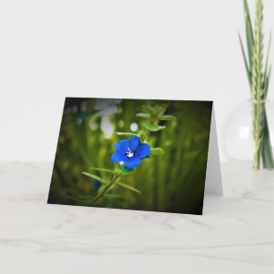 Green Earth, card