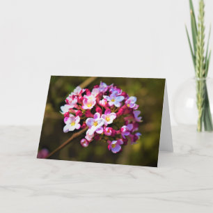 Green Earth, card