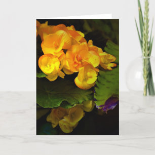 Green Earth, card