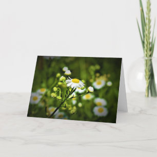 Green Earth, card