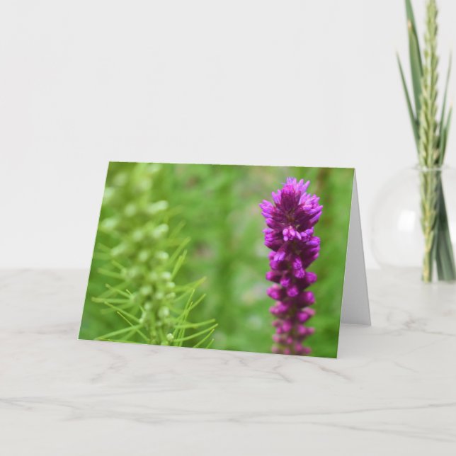 Green Earth Card (Front)