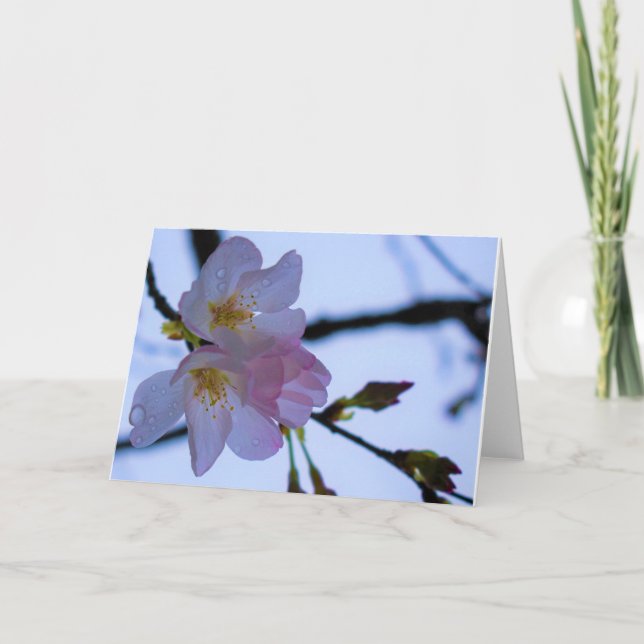 Green Earth Card (Front)