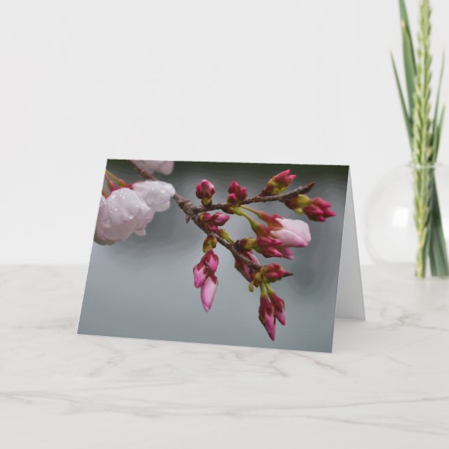 Green Earth Card (Front)