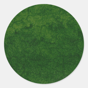 Green Earth Classic Round Sticker