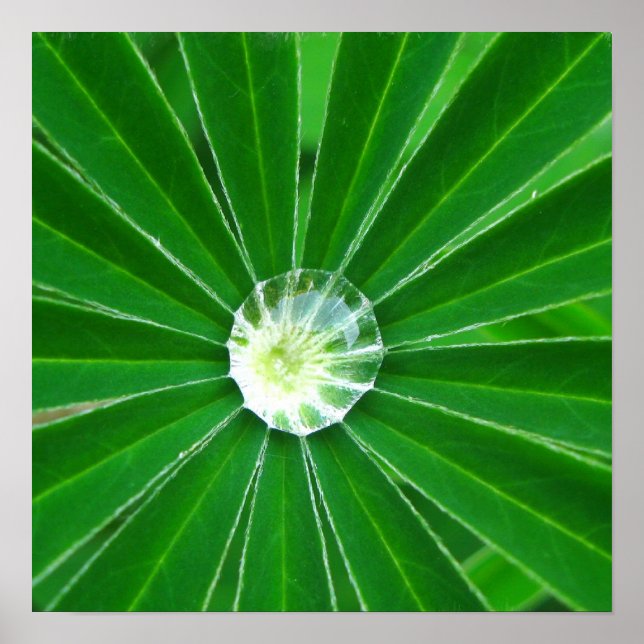 Green Energy Poster Print (Front)