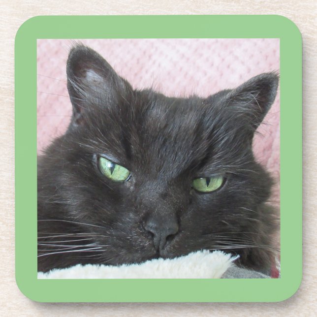 Green Eyed Black Cat Coaster (Front)