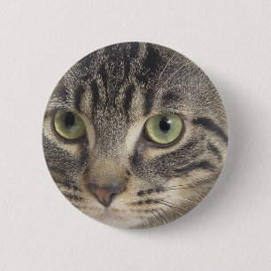 Green Eyed Cat 6 Cm Round Badge
