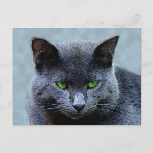 Green Eyed Cat Postcard (Front)