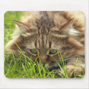 Green Eyed Hunter Mouse Pad