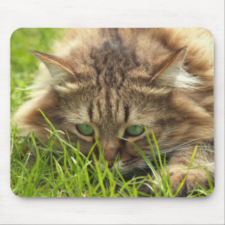 Green Eyed Hunter Mouse Pad