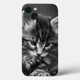 Green Eyed Kitten iPhone 13 Case