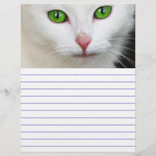 Green Eyed White Cat