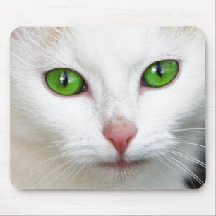 Green Eyed White Cat Mouse Pad
