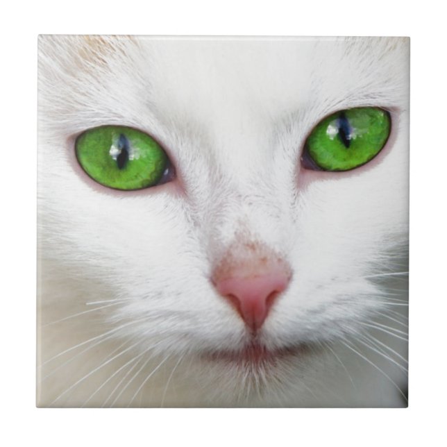 Green Eyed White Cat Tile (Front)