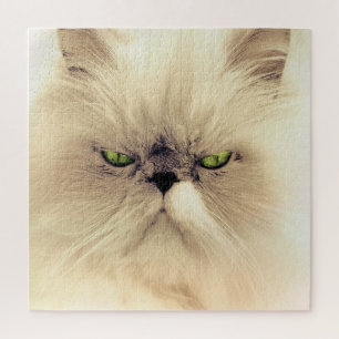 Green Eyed White Persian Cat Jigsaw Puzzle