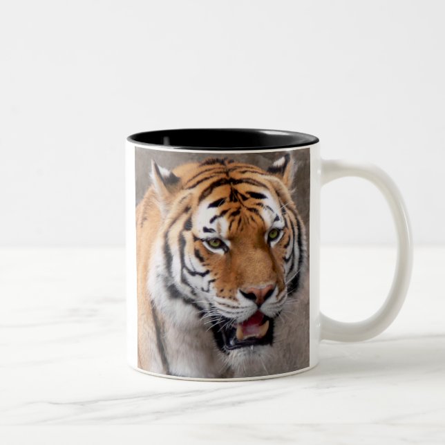 green eyed wonder Two-Tone coffee mug (Right)