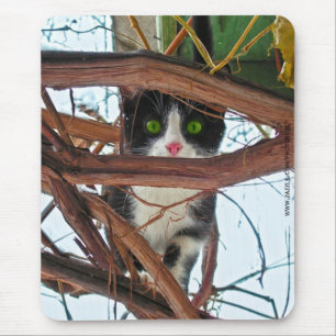 Green Eyes Mouse Pad