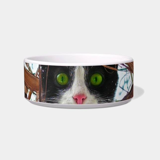 Green Eyes Pet Bowl (Front)