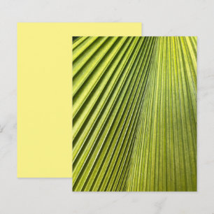 Green Fan Palm Frond Scrapbook Paper