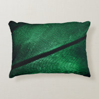 Green Feather, Beautiful Pattern Texture.