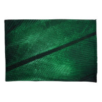 Green Feather, Beautiful Pattern Texture.
