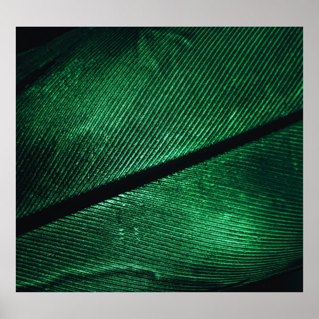 Green Feather, Beautiful Pattern Texture. Poster (Front)