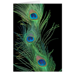 Green Feathers with Black