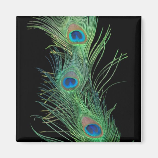 Green Feathers with Black Magnet (Front)