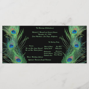 Green Feathers with Black Wedding Program Programme