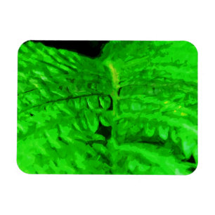 Green Fern Abstract Impressionism Magnet