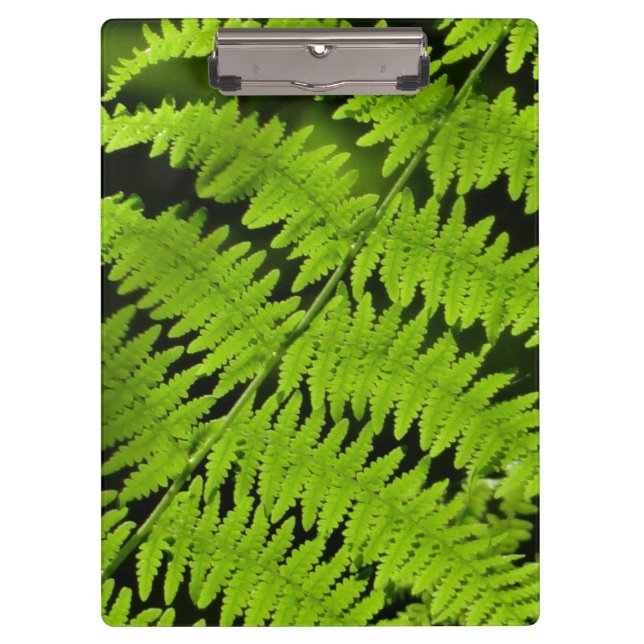 Green fern clipboard (Front)