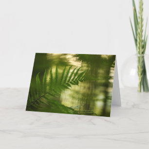 Green Fern Frond Nature Photo Card