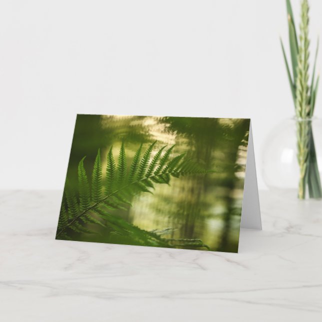 Green Fern Frond Nature Photo Card (Front)