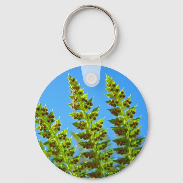 Green Fern Fronds keychain Blue Sky nature (Front)