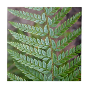 Green fern leaf pattern tile